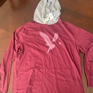 NWT American Eagle hooded long sleeve tee